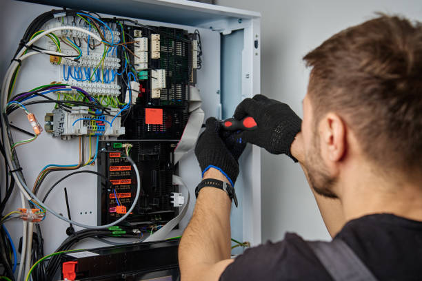 Licensed Electrical Panel Upgrade service in Ithaca, MI - No Joke electrician